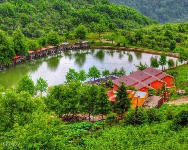 جنگل رامسر جواهرده
